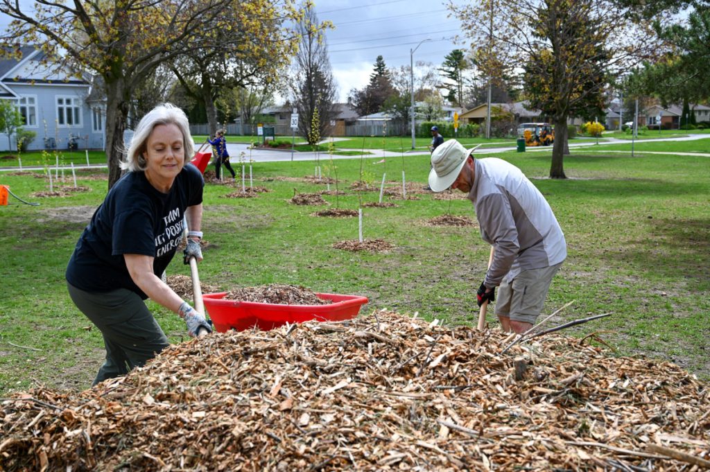 St Daniel Volunteers